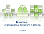 Organizational Struture & Design - 93 diagrams in PDF